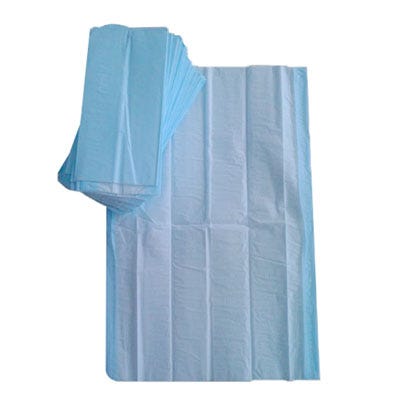 Cello Bed Protector Bluey 40cmx60cm 170ml